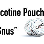 Nicotine Pouches Snus Picutre for blog